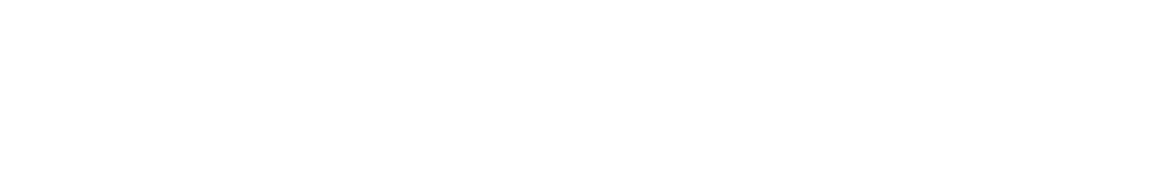 Express courier - logo